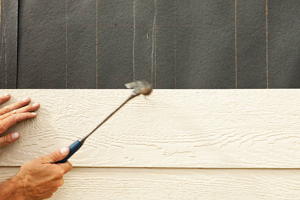 Affordable Siding Repair and Maintenance Services in Honolulu, HI